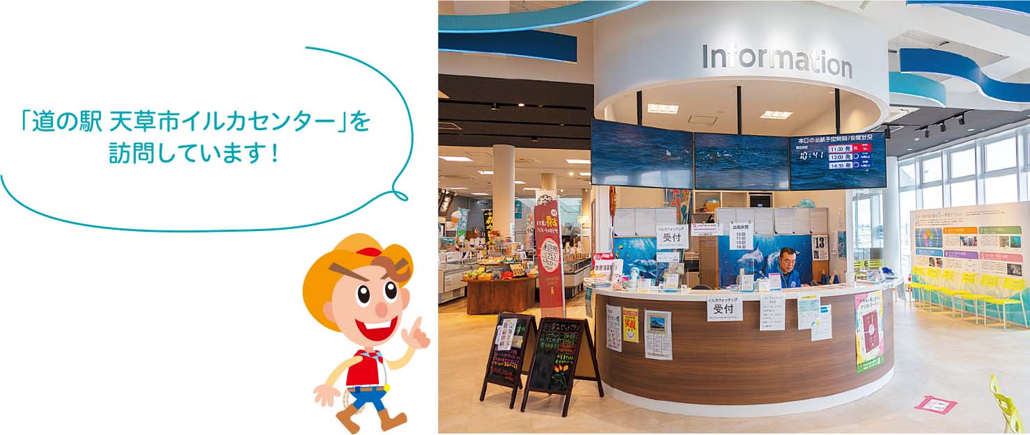 イルカセンター