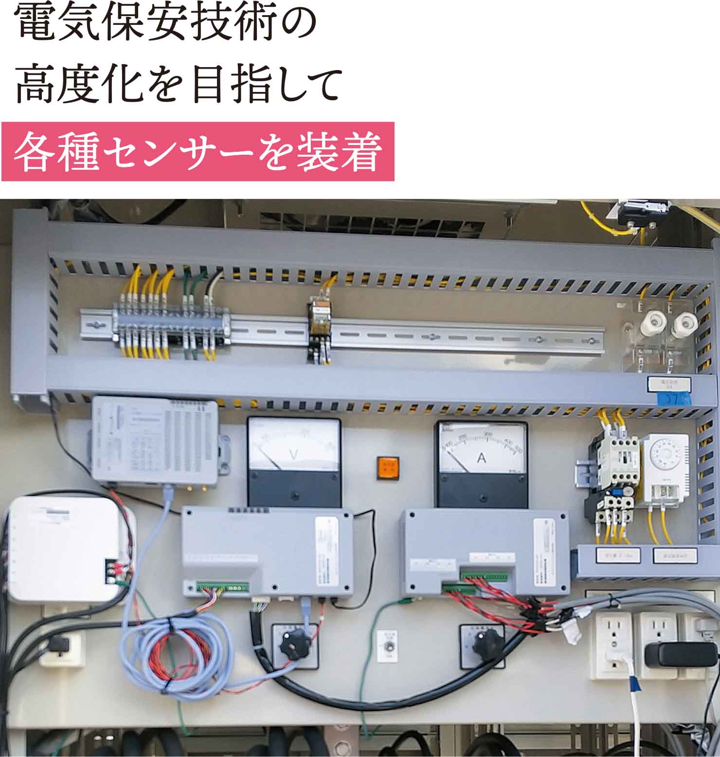 将来に向けての取り組み