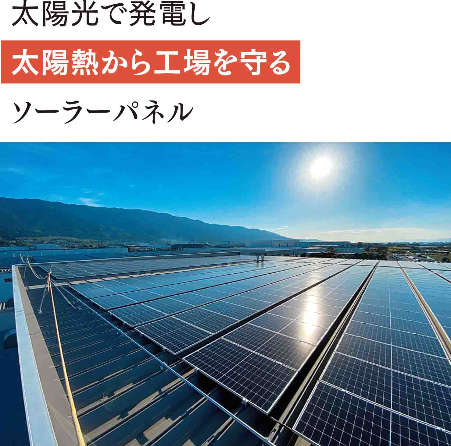 太陽光パネル