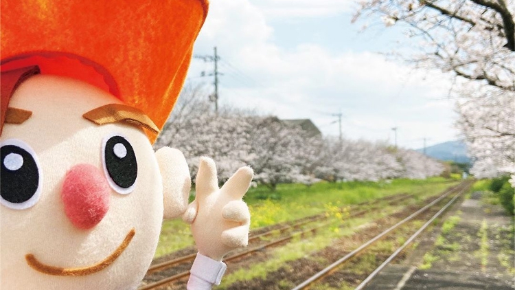 2021.4.20 インスタグラムを更新したよ♪