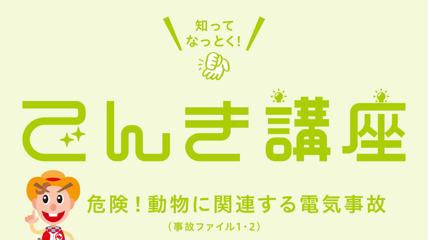 危険!動物に関連する電気事故 ①